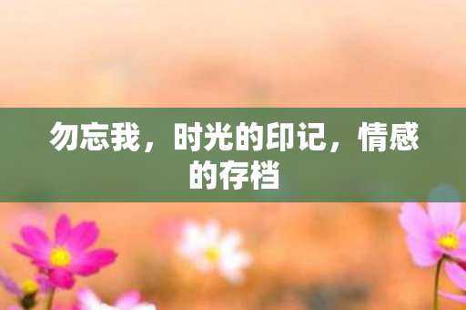勿忘我，时光的印记，情感的存档