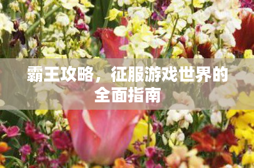 霸王攻略，征服游戏世界的全面指南