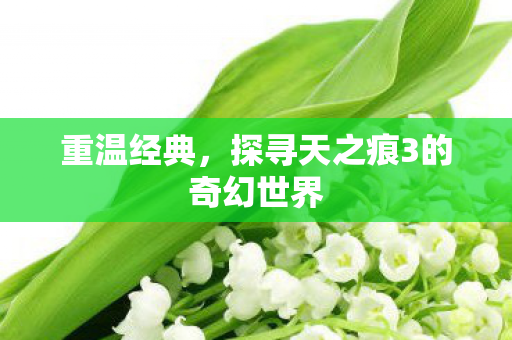 重温经典，探寻天之痕3的奇幻世界