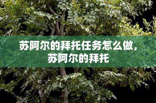 苏阿尔的拜托任务怎么做图片