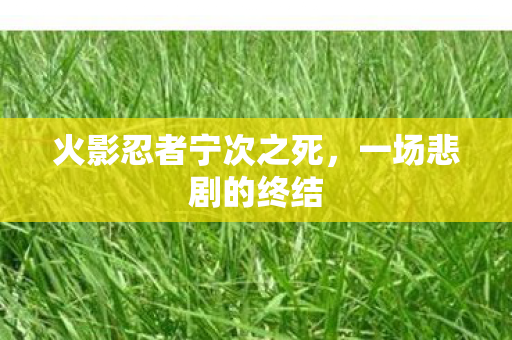 火影忍者宁次之死,一场悲剧的终结 火影忍者宁次之死,一场悲剧的终结