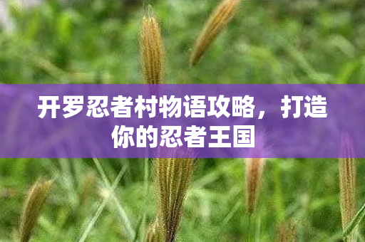 开罗忍者村物语攻略，打造你的忍者王国