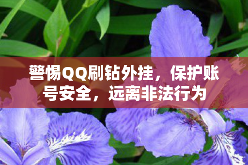 警惕QQ刷钻外挂，保护账号安全，远离非法行为