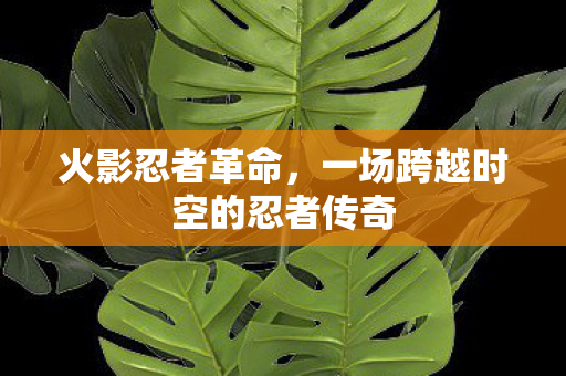 火影忍者革命，一场跨越时空的忍者传奇