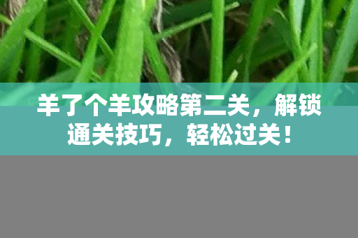 羊了个羊攻略第二关，解锁通关技巧，轻松过关！