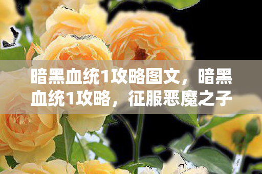 暗黑血统1攻略图文，暗黑血统1攻略，征服恶魔之子的全面指南