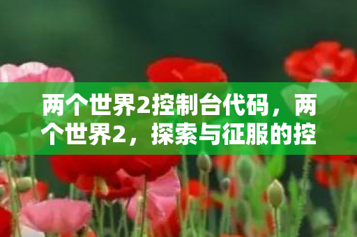 两个世界2控制台代码，两个世界2，探索与征服的控制台秘籍
