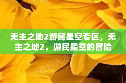 无主之地2游民星空专区，无主之地2，游民星空的冒险之旅