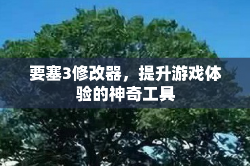 要塞3修改器，提升游戏体验的神奇工具