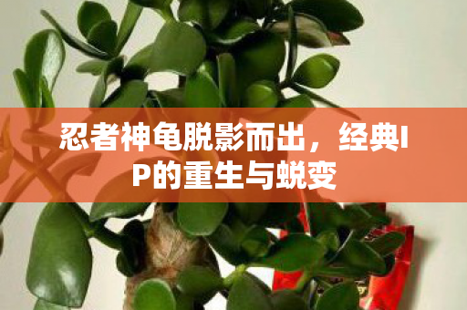 忍者神龟脱影而出,经典IP的重生与蜕变 忍者神龟脱影而出,经典IP的重生与蜕变