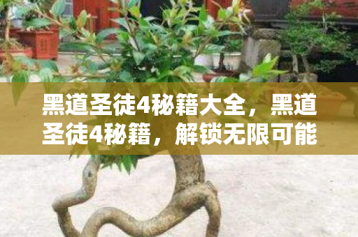 黑道圣徒4秘籍大全，黑道圣徒4秘籍，解锁无限可能