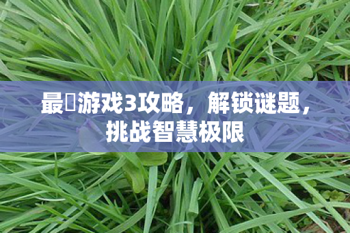 最囧游戏3攻略，解锁谜题，挑战智慧极限