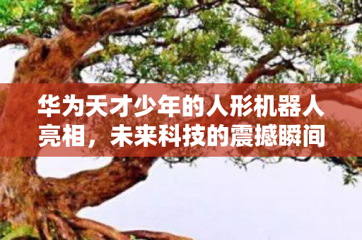 华为天才少年的人形机器人亮相,未来科技的震撼瞬间 华为天才少年的人形机器人亮相,未来科技的震撼瞬间