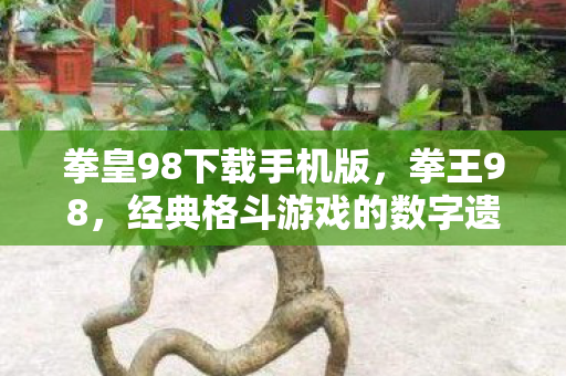 拳皇98下载手机版，拳王98，经典格斗游戏的数字遗产