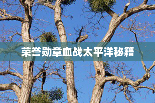 荣誉勋章血战太平洋秘籍