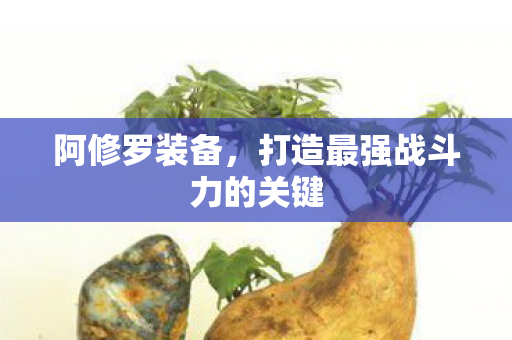 阿修罗装备，打造最强战斗力的关键