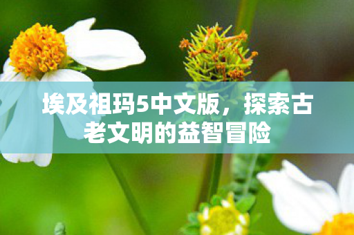 埃及祖玛5中文版，探索古老文明的益智冒险