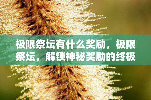 解锁神秘奖励的终极挑战图片