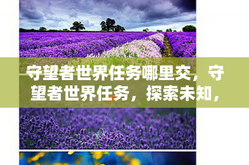 守望者世界任务哪里交，守望者世界任务，探索未知，守护和平