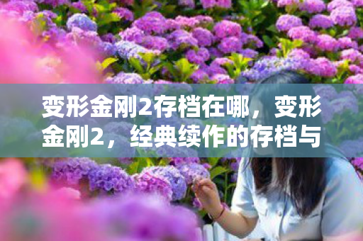 变形金刚2存档在哪，变形金刚2，经典续作的存档与回忆