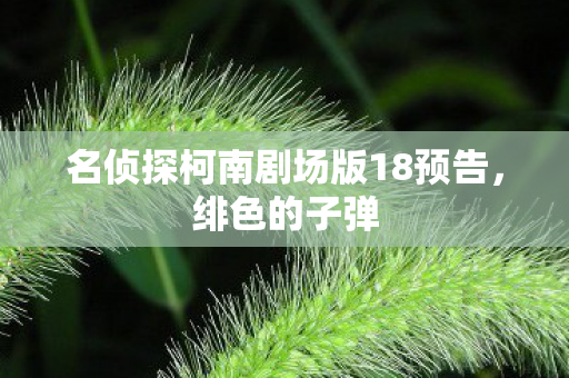 名侦探柯南剧场版18预告，绯色的子弹