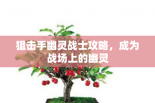 狙击手幽灵战士攻略，成为战场上的幽灵