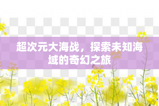 超次元大海战，探索未知海域的奇幻之旅