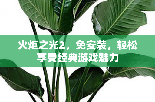 火炬之光2，免安装，轻松享受经典游戏魅力