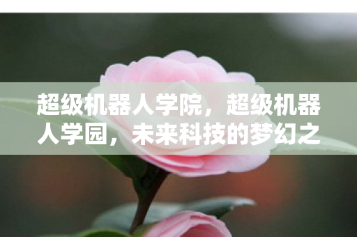 超级机器人学院,超级机器人学园,未来科技的梦幻之旅 超级机器人学院,超级机器人学园,未来科技的梦幻之旅