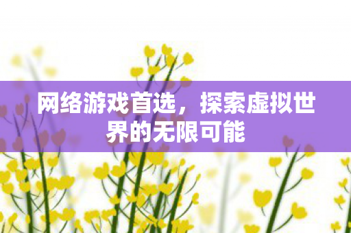 网络游戏首选，探索虚拟世界的无限可能
