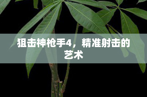 狙击神枪手4,精准射击的艺术 狙击神枪手4,精准射击的艺术