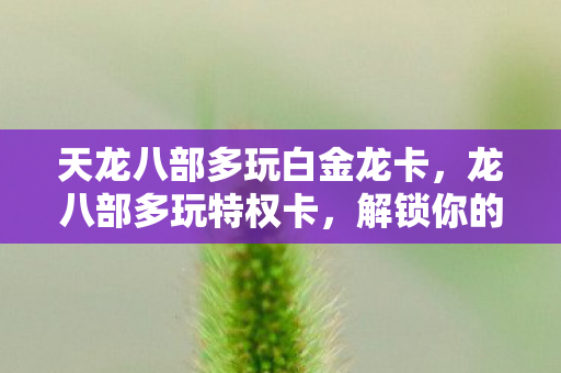 天龙八部多玩白金龙卡，龙八部多玩特权卡，解锁你的游戏新体验