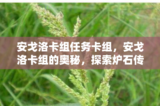 安戈洛卡组任务卡组,安戈洛卡组的奥秘,探索炉石传说中的古老传说 安戈洛卡组任务卡组,安戈洛卡组的奥秘,探索炉石传说中的古老传说