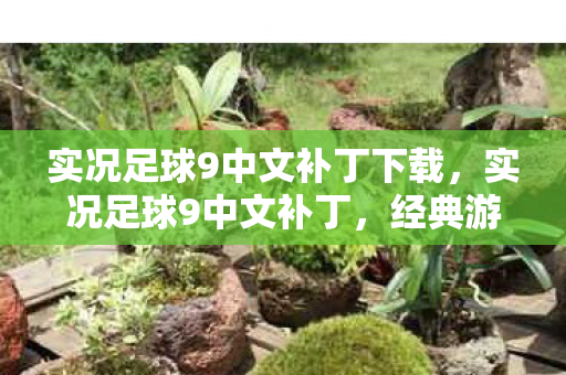 实况足球9中文补丁下载，实况足球9中文补丁，经典游戏的本地化之旅
