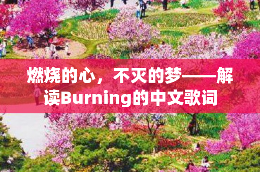 燃烧的心，不灭的梦——解读Burning的中文歌词