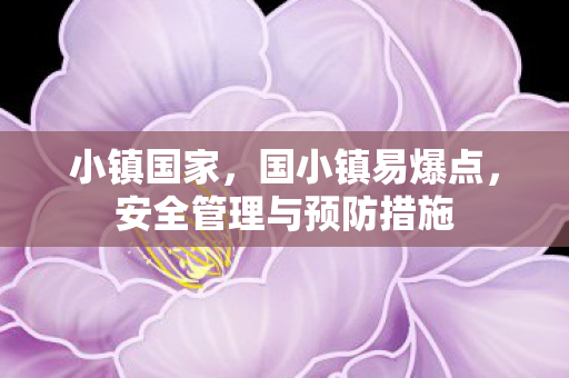 小镇国家，国小镇易爆点，安全管理与预防措施