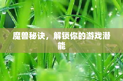 魔兽秘诀，解锁你的游戏潜能