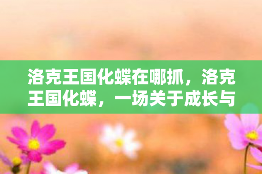 洛克王国化蝶在哪抓，洛克王国化蝶，一场关于成长与蜕变的奇幻之旅