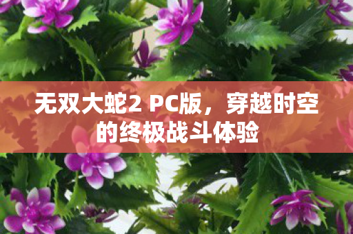 无双大蛇2 PC版，穿越时空的终极战斗体验