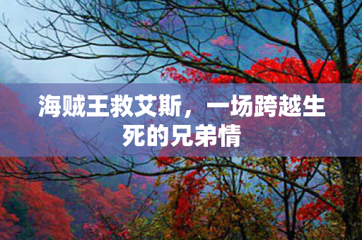 海贼王救艾斯，一场跨越生死的兄弟情