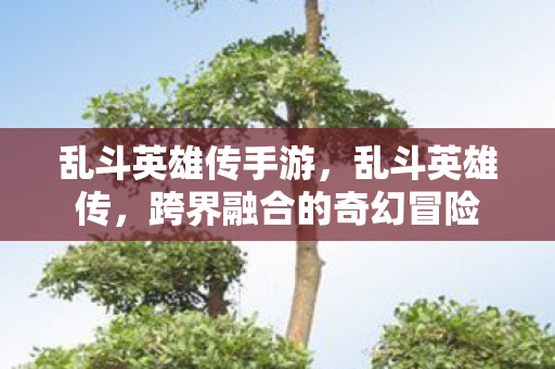 乱斗英雄传手游，乱斗英雄传，跨界融合的奇幻冒险