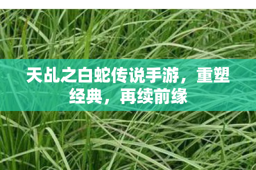 天乩之白蛇传说手游，重塑经典，再续前缘