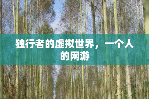 独行者的虚拟世界,一个人的网游 独行者的虚拟世界,一个人的网游
