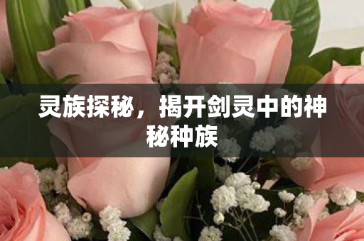 灵族探秘，揭开剑灵中的神秘种族