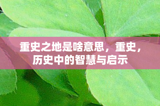 重史之地是啥意思,重史,历史中的智慧与启示 重史之地是啥意思,重史,历史中的智慧与启示