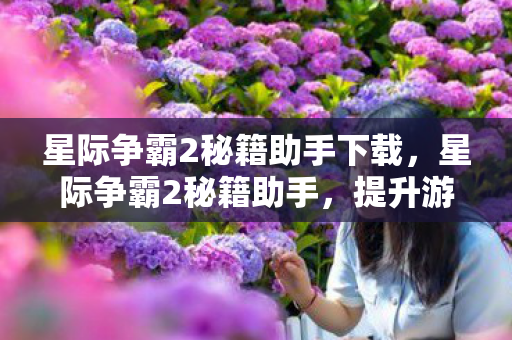 星际争霸2秘籍助手下载，星际争霸2秘籍助手，提升游戏技巧的神秘工具