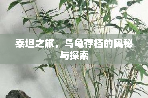 泰坦之旅，乌龟存档的奥秘与探索