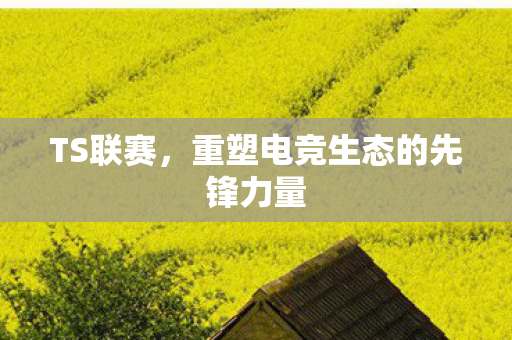 TS联赛,重塑电竞生态的先锋力量 TS联赛,重塑电竞生态的先锋力量