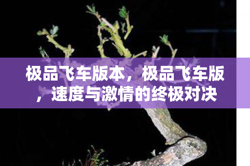 极品飞车版本，极品飞车版，速度与激情的终极对决