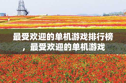 最受欢迎的单机游戏排行榜，最受欢迎的单机游戏